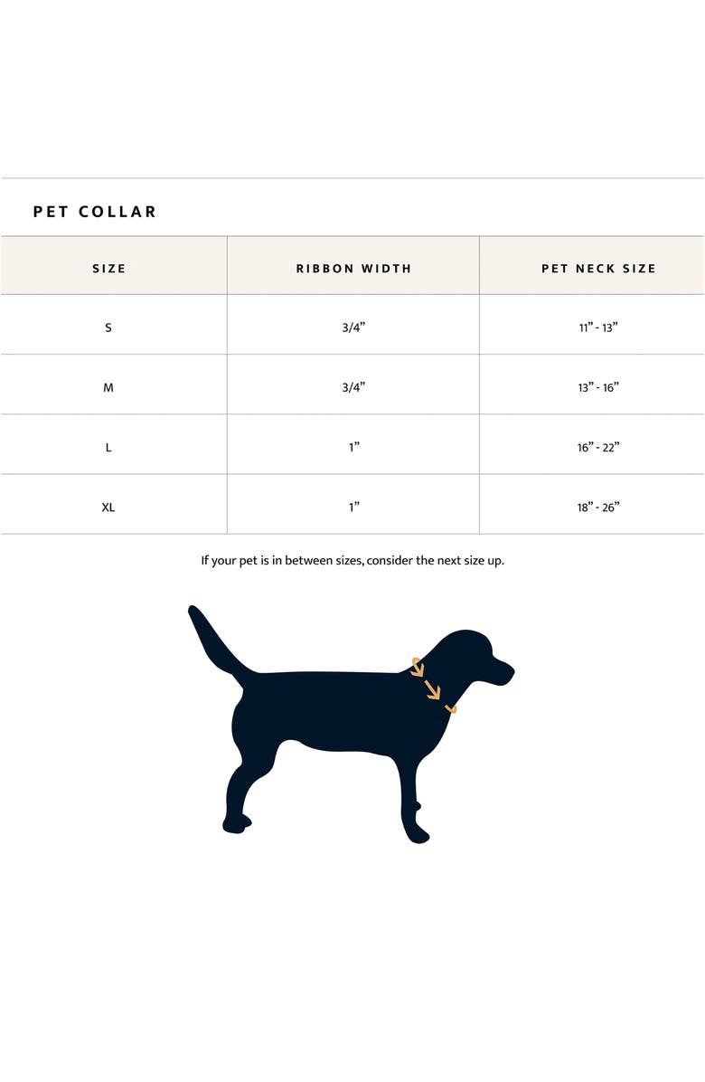 Pendleton Vintage Camp Adventure Collar, Alternate, color, Mineral Umber