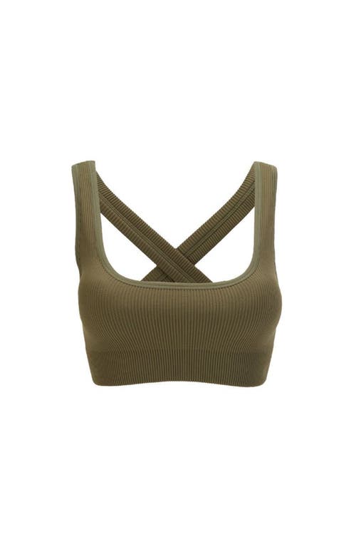 Vitality Synergy X Bra In Willow