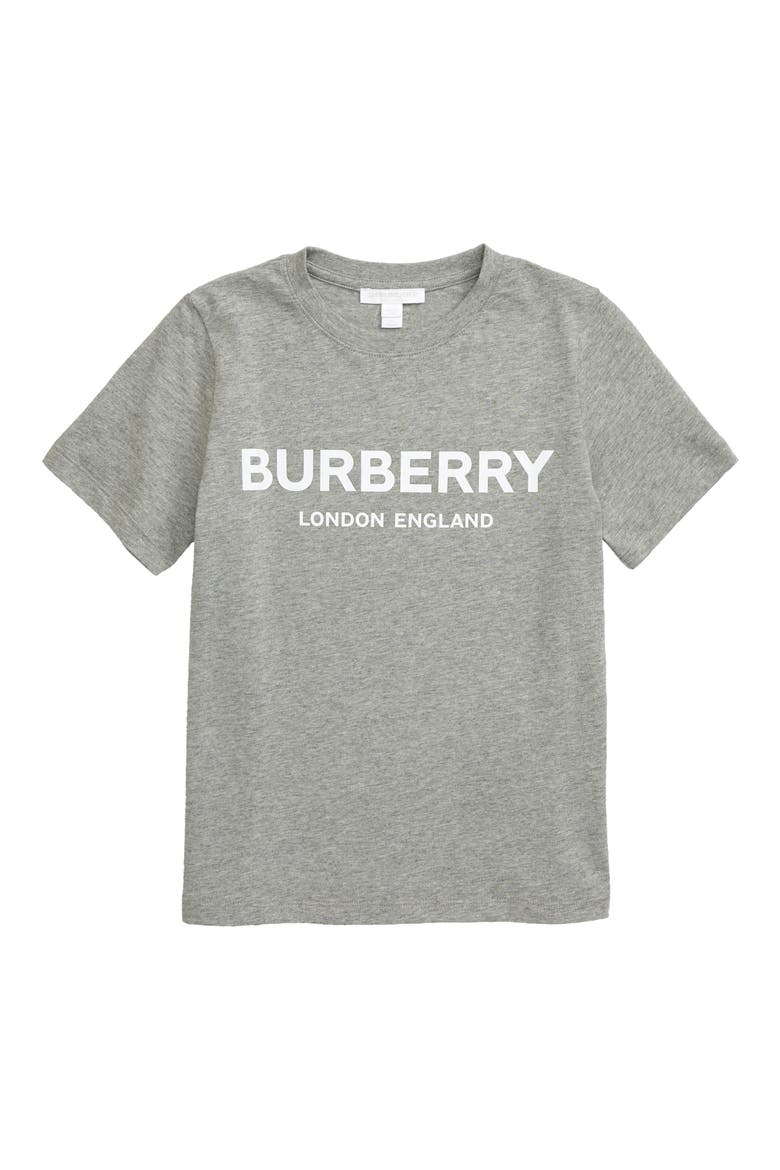Robbie T-Shirt, Main, color, GREY MELANGE