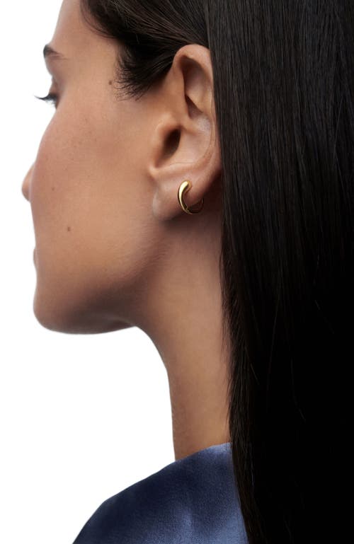 Pdpaola Loop Single Hoop In Gold