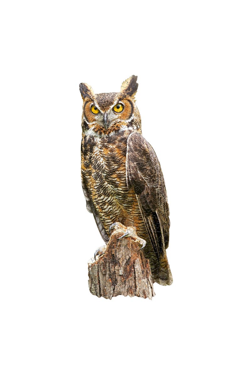 Madd Capp I Am Great Horned Owl 300 Piece Puzzle, Alternate, color, Multicolored