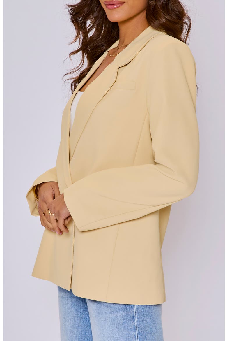 Juliette Relaxed Fit Blazer, Alternate, color, BUTTER
