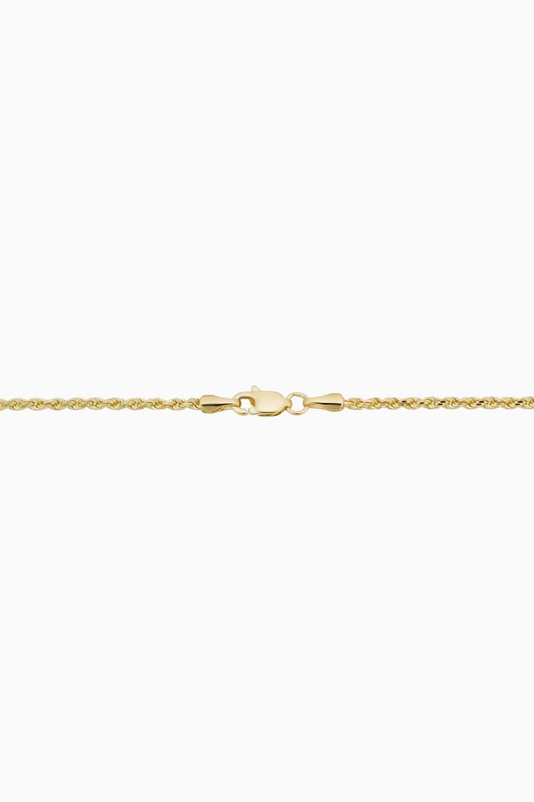 Men's Titan Rope Mens Chain in 10K Gold, Alternate, color, 10K Yellow Gold