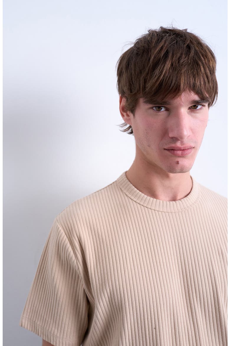 Heavyweight Rib T-Shirt, Alternate, color, CAMEL