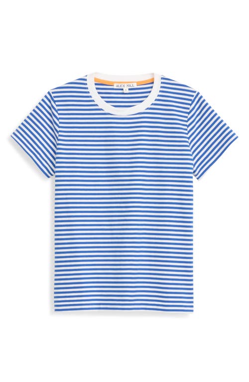 Shop Alex Mill Prospect Stripe Cotton T-shirt In Blue/white