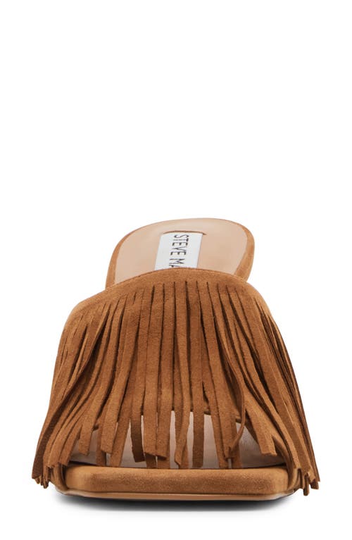 Shop Steve Madden Morina Slide Sandal In Cognac Suede