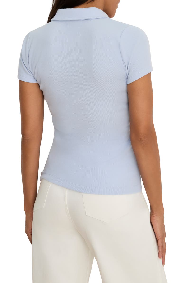 NIC+ZOE Perfect Knit Rib Polo, Alternate, color, Sky