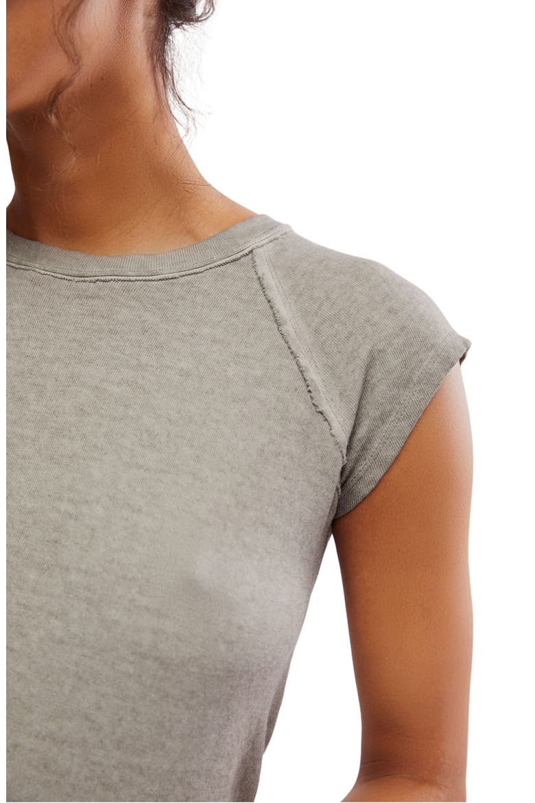 Riley Seamed T-Shirt, Alternate, color, BROWN