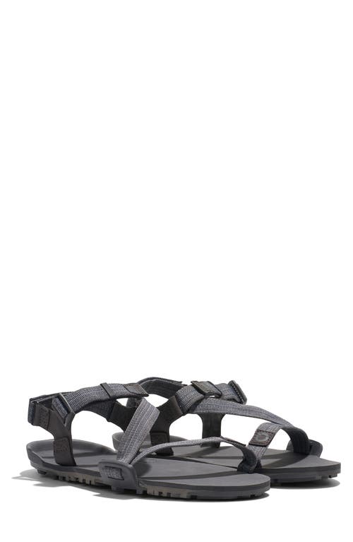 Xero Shoes Z-trail Ev Barefoot Hiking/running Sandal In Gray