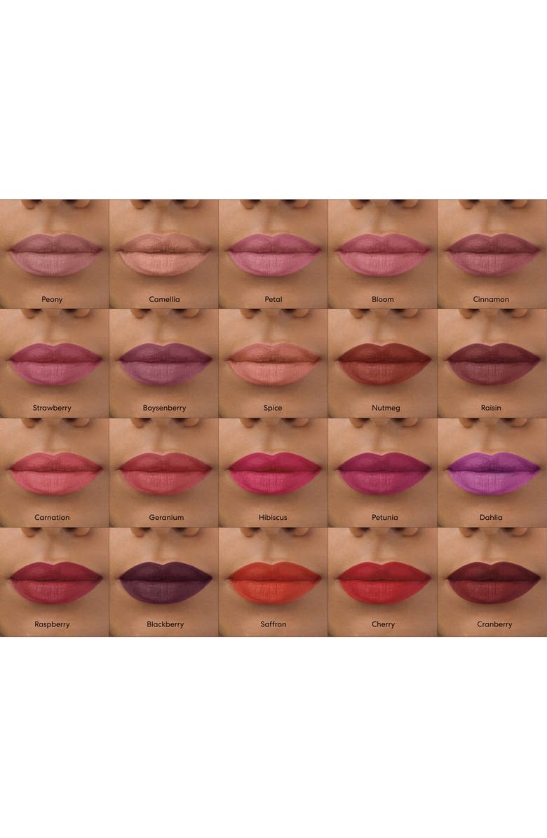 bareMinerals<sup>®</sup> BarePro Longwear Lipstick, Alternate, color,