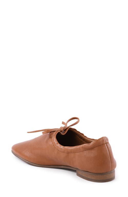 Seychelles Curtsy Flat