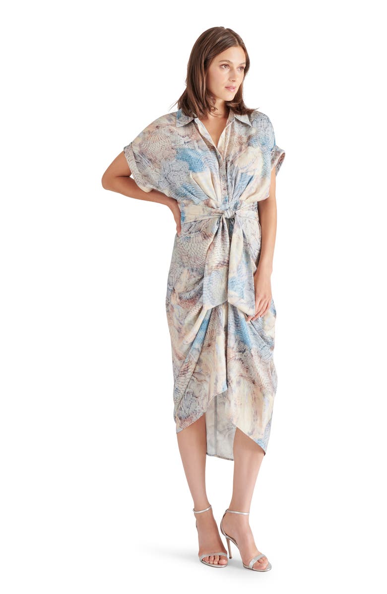 Steve Madden Tori Snakeskin Print Tie Waist Midi Shirtdress, Alternate, color, Blue/ Beige Multi