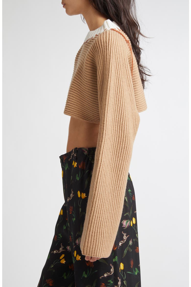 Patchwork Crewneck Crop Sweater, Alternate, color, DUNE