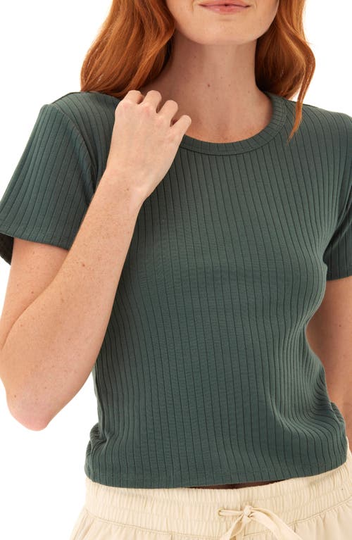 Threads 4 Thought Felicia Stretch Organic Cotton Rib T-shirt In Green