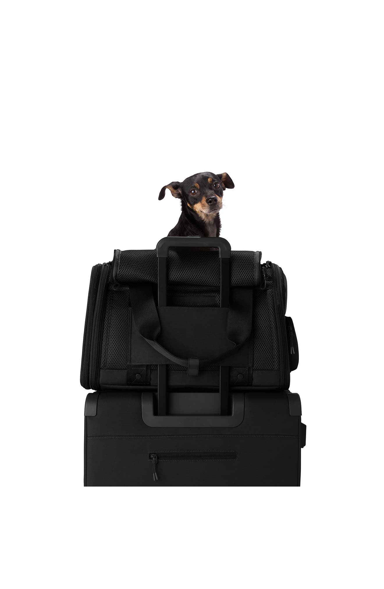 Dagne Dover Kyoto Small Pet Carrier, Alternate, color, Onyx