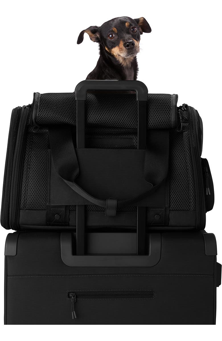 Dagne Dover Kyoto Small Pet Carrier, Alternate, color, Onyx
