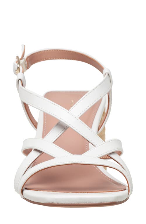 LINEA PAOLO LINEA PAOLO HAZEL SLINGBACK SANDAL