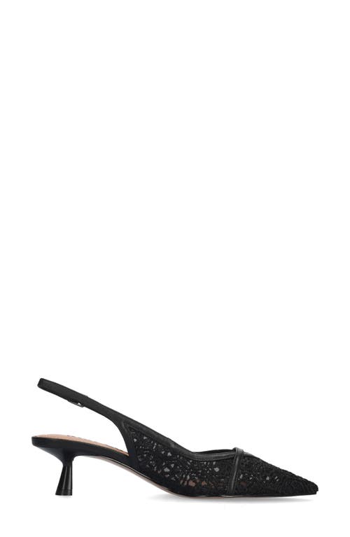 BIBI LOU BIBI LOU BRIAR SLINGBACK POINTED TOE PUMP 