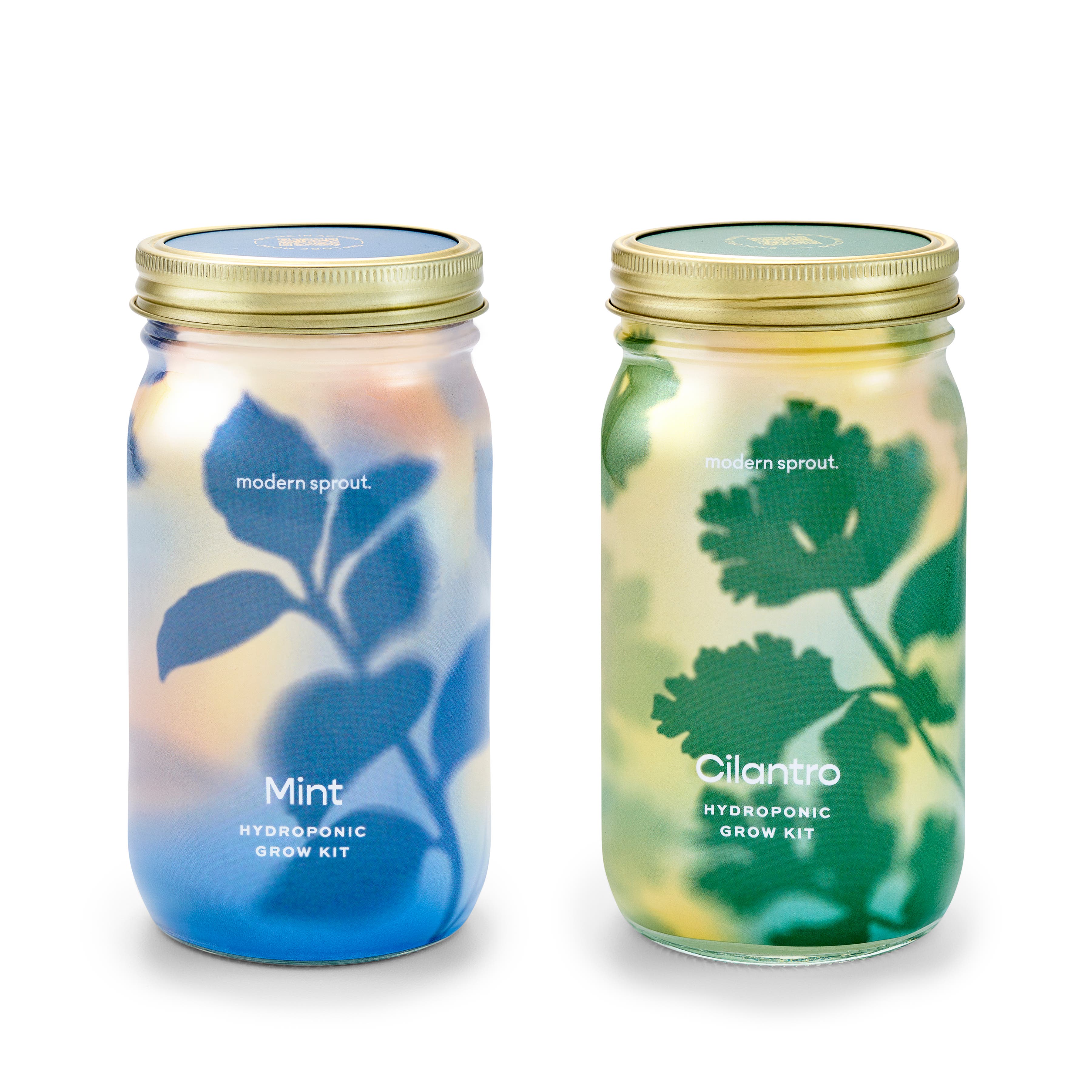 Mint + Cilantro