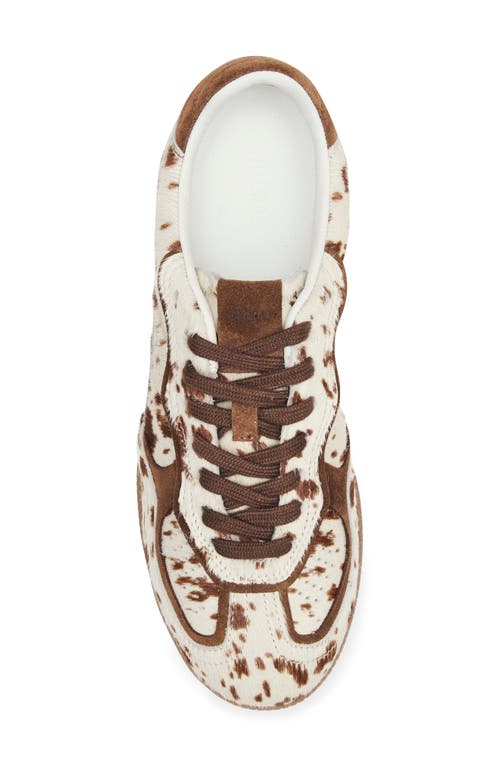 Alohas 'tb.490' Brown Low Top Sneakers With Embossed Logo On The Side And Perforated Details In Brown