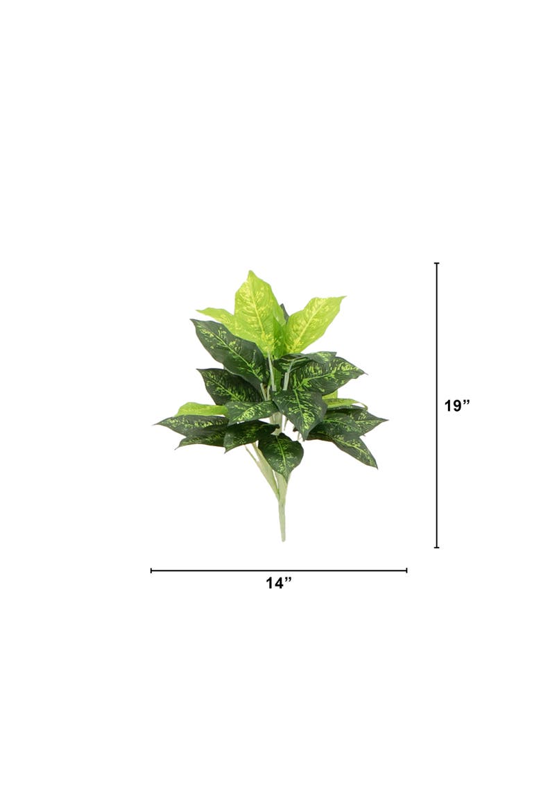19-in Artificial Dieffenbachia Plant - Set of 6, Alternate, color, Green