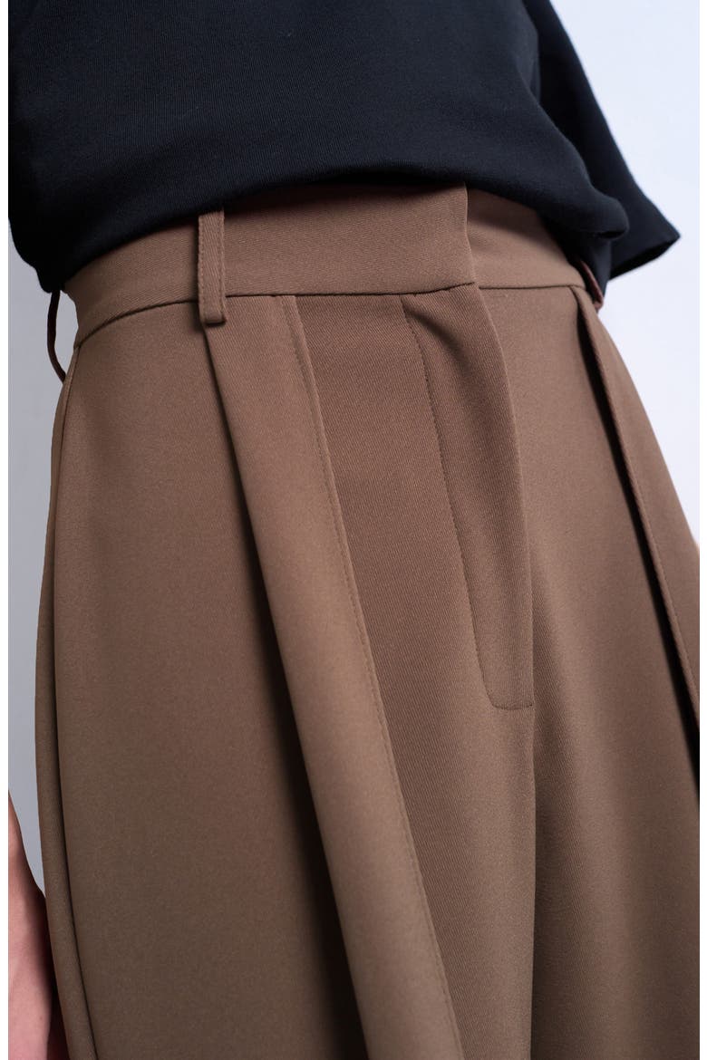 Pleated Volume Wide Leg Pants, Alternate, color, TAUPE