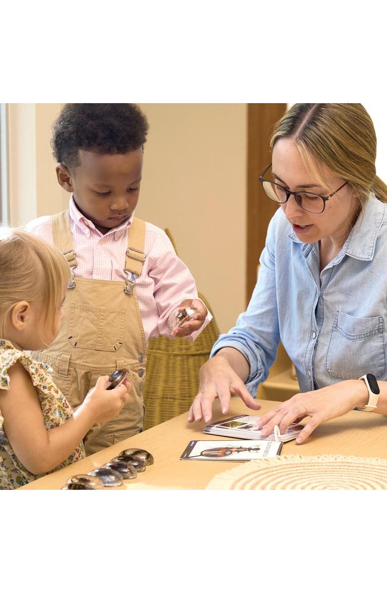 Kaplan Early Learning Company Specimen Stones Creepy Crawlers - 9 Stones, Alternate, color, Multicolored