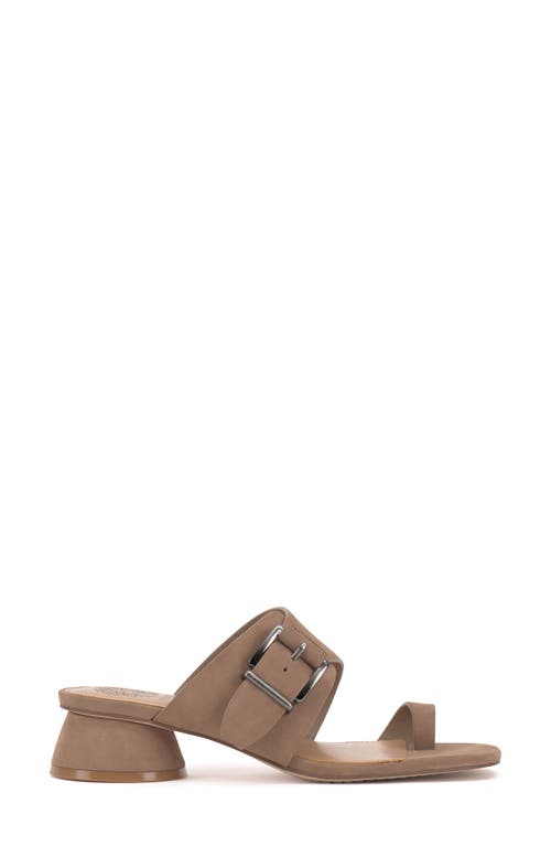 Vince Camuto Lenqua Toe Loop Sandal In Truffle Taupe