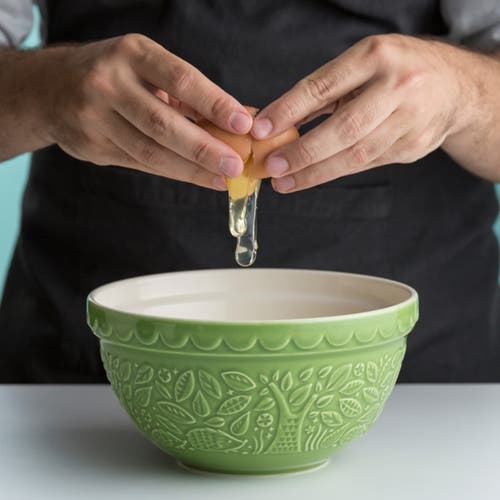 Mason Cash In The Forest Hedgehog Size 30 Mixing Bowl, Green, 1.15 Quart