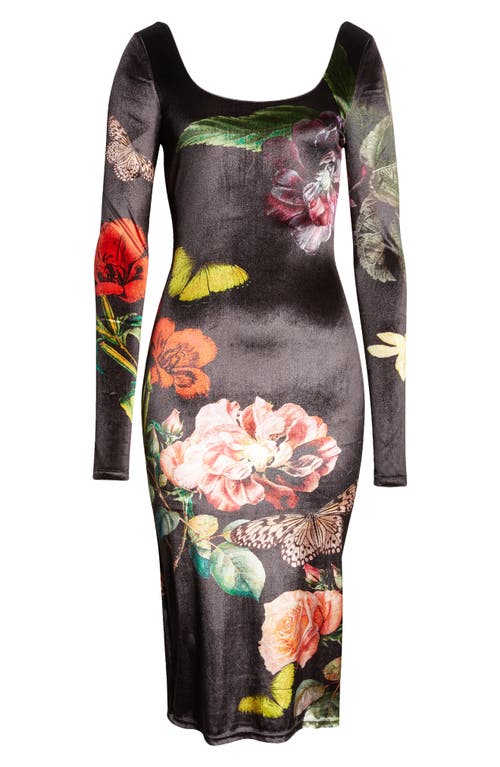Alice And Olivia In The Wind Floral Delora Scoop-neck Velvet Midi Dress In Black