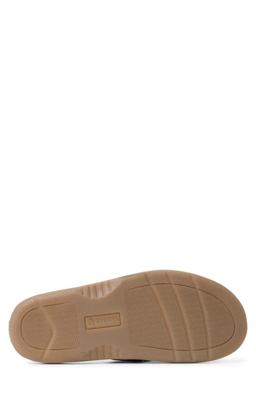 Sperry Baitfish Flip Flop In Dust Blue