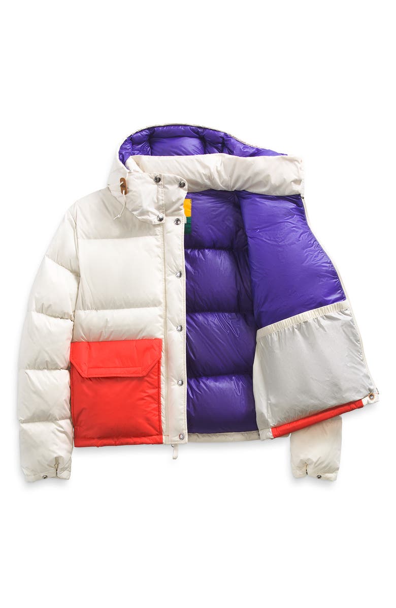 The North Face Sierra Colorbock 600 Fill Power Down Ripstop Parka, Alternate, color, 