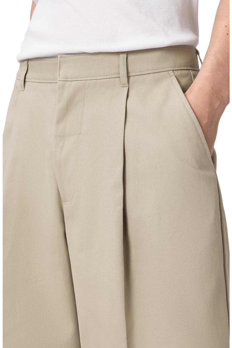 Castro Pleated Cotton Shorts, Alternate, color, PASILLA BROWN