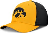 Nike Men's Nike Gold/Black Iowa Hawkeyes 2025 Sideline Rise Local Performance Flex Hat