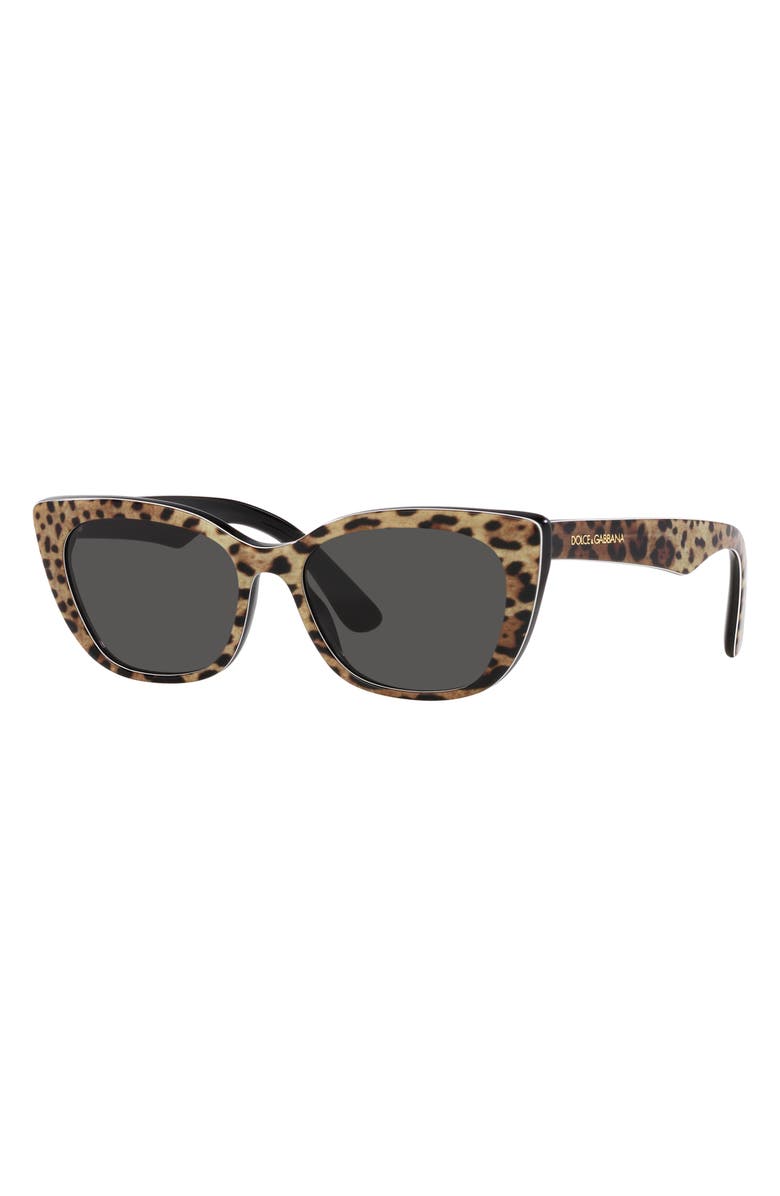 Dolce&Gabbana 49mm Small Cat Eye Sunglasses, Alternate, color,
