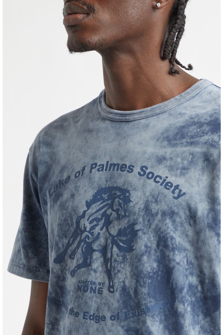 Lake Print Cotton T-Shirt, Alternate, color, NAVY