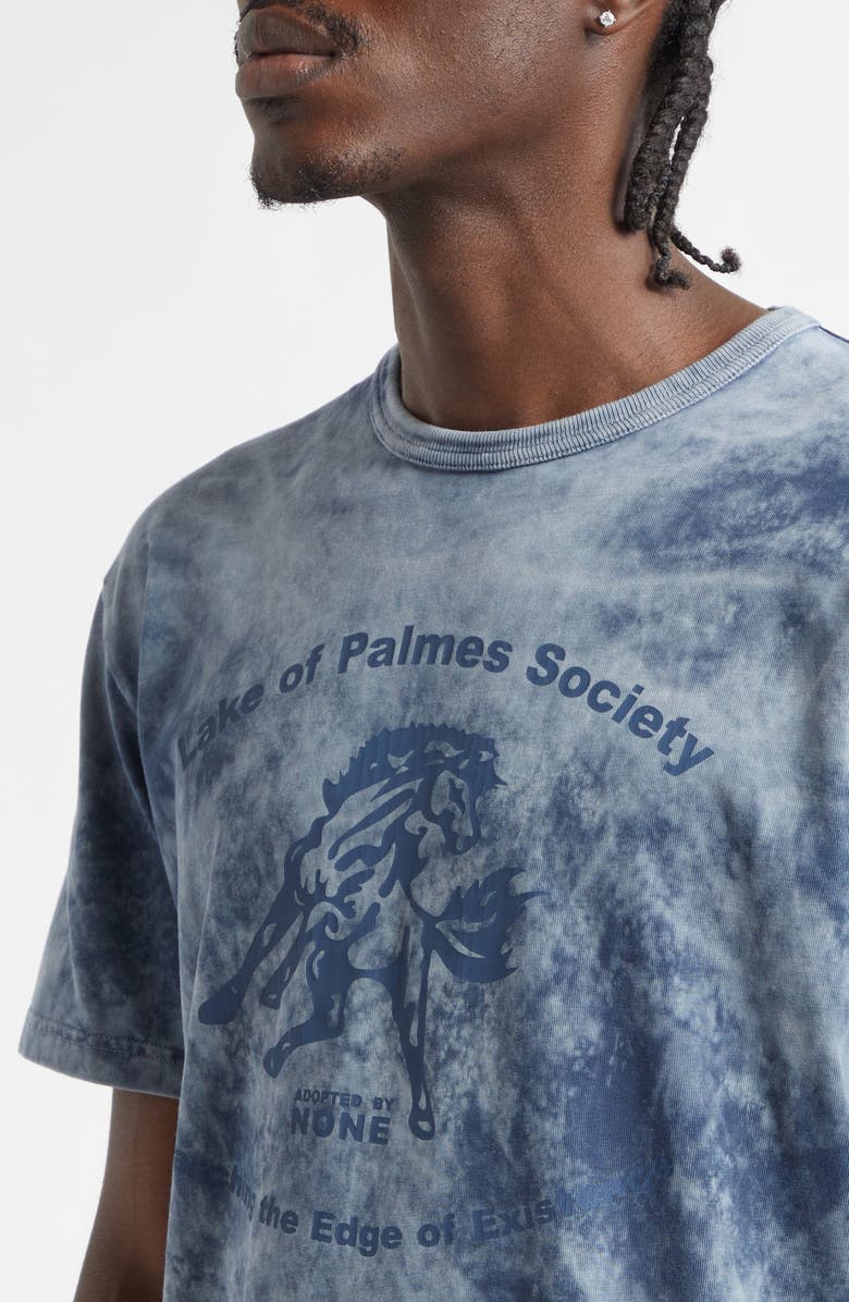 PALMES Lake Print Cotton T-Shirt, Alternate, color, Navy