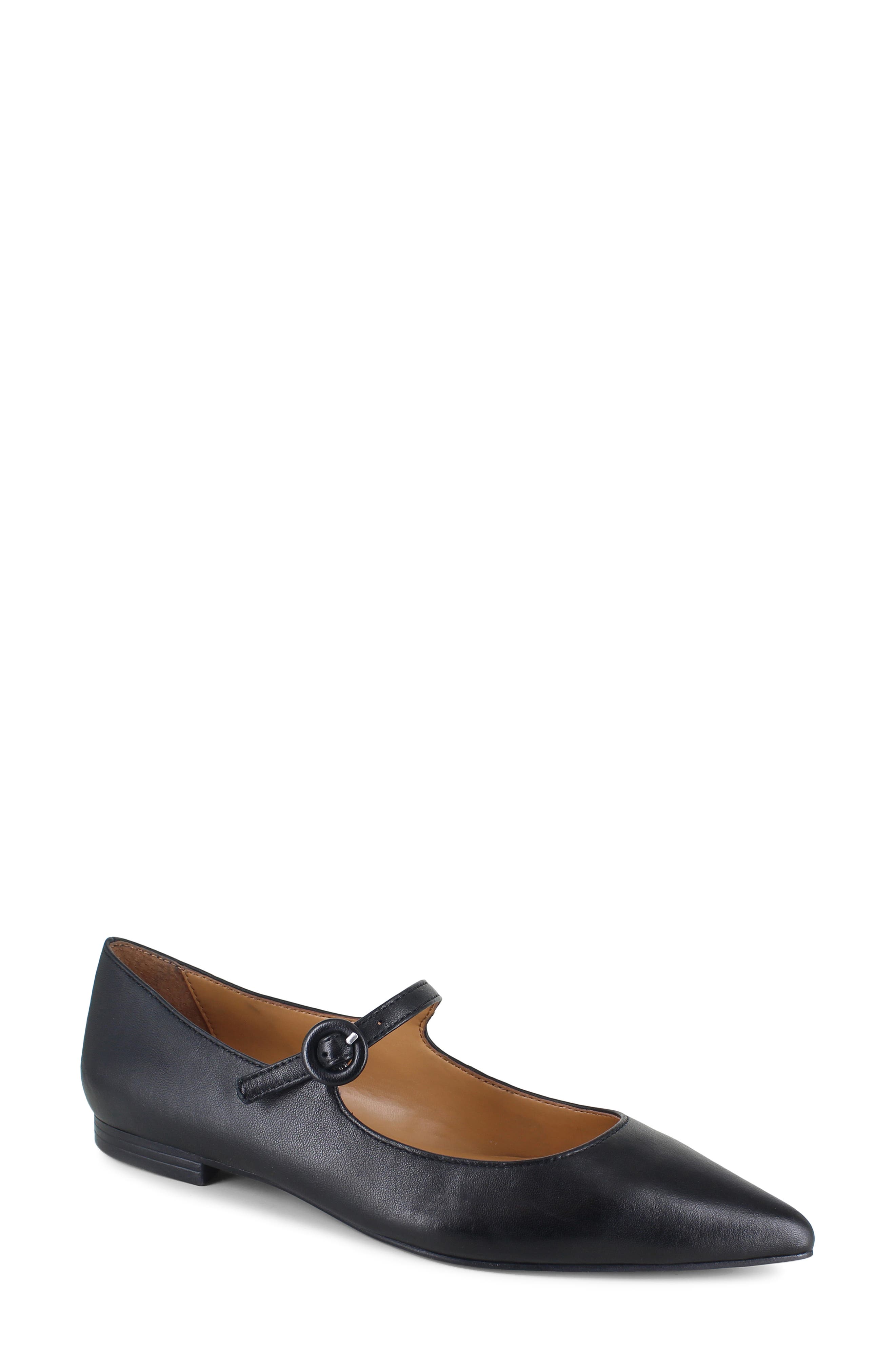Mariana Pointed Toe Mary Jane Flat, Main, color, BLACK