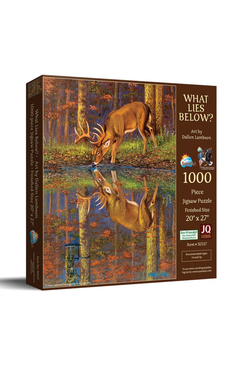 Sunsout What Lies Below? 1000 piece Jigsaw Puzzle for Adults, Main, color, Multicolor