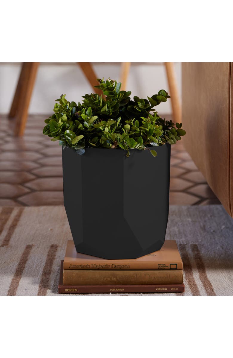 Bloem Tuxton 8.25"W x 8.25"H Hexagon Gardening Planter, Black, Alternate, color, Black