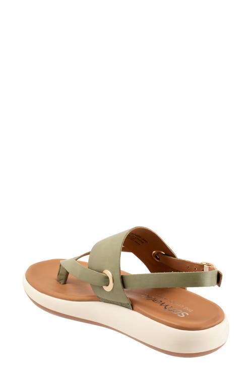 Softwalk ® Joliet Slingback Sandal In Olive