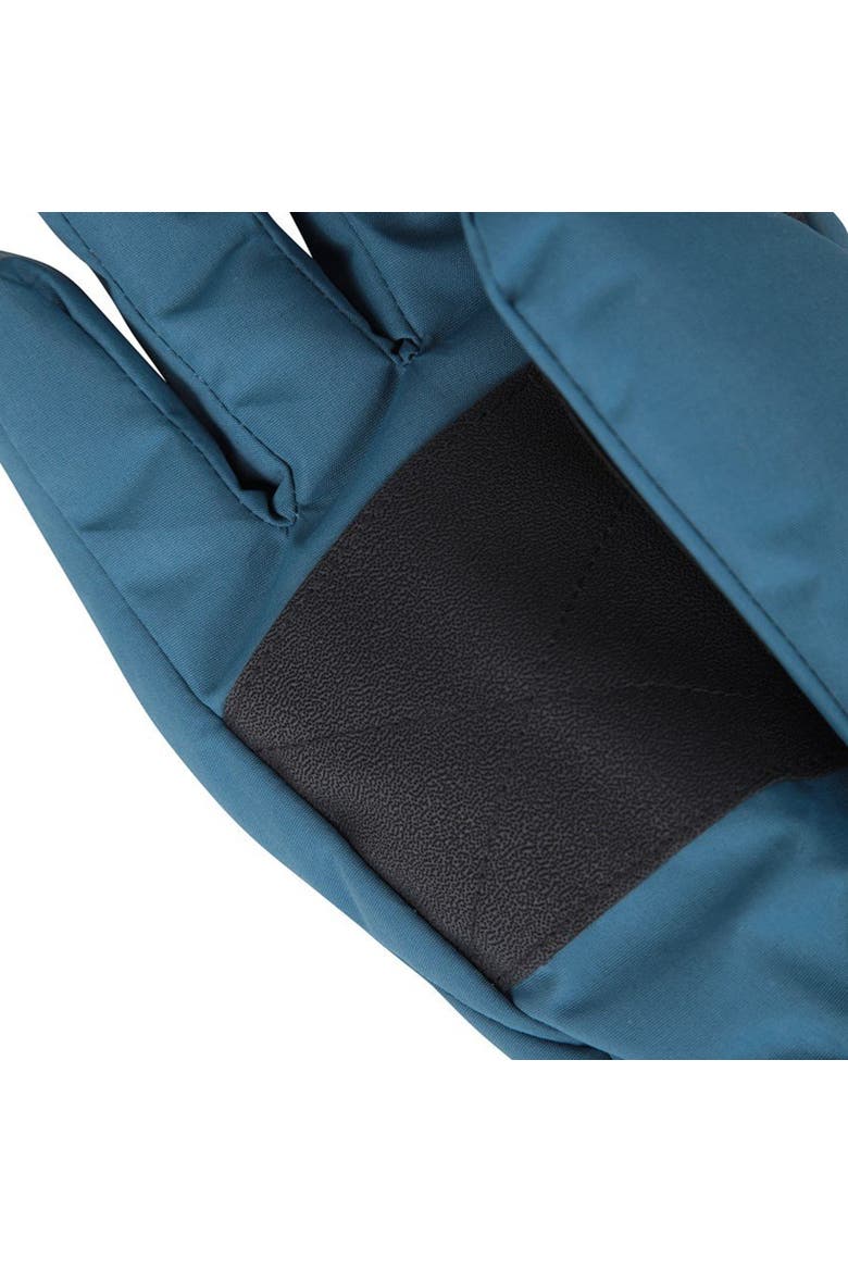 Ski Gloves, Alternate, color, Dark Teal