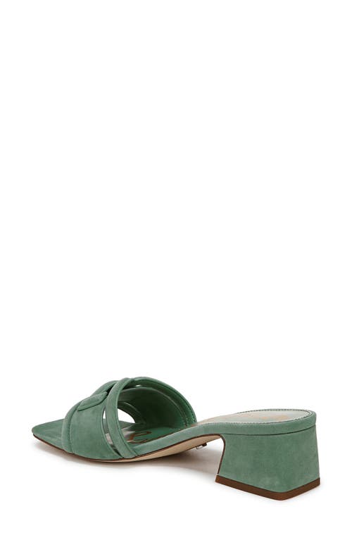 Sam Edelman Waylon Slide Sandal In Green