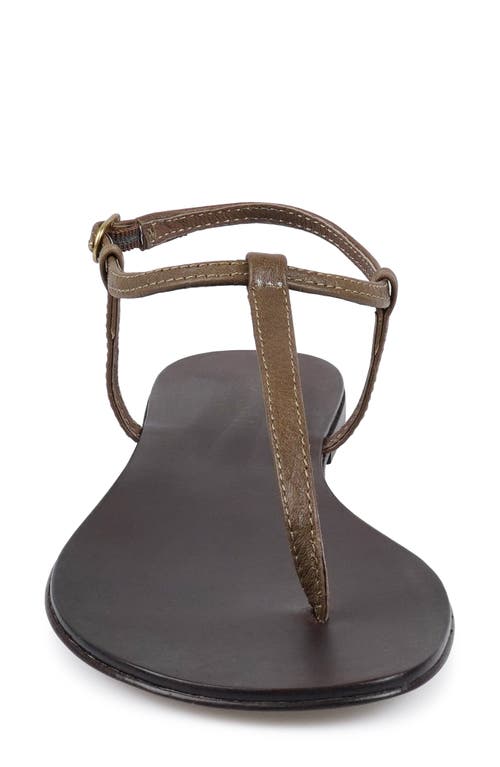 Artisan Crafted By Zigi Ankle Strap Sandal In Brown