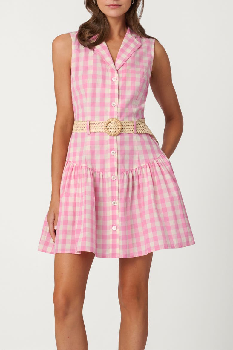 Gingham Natalia Dress, Main, color, Peony/Optic