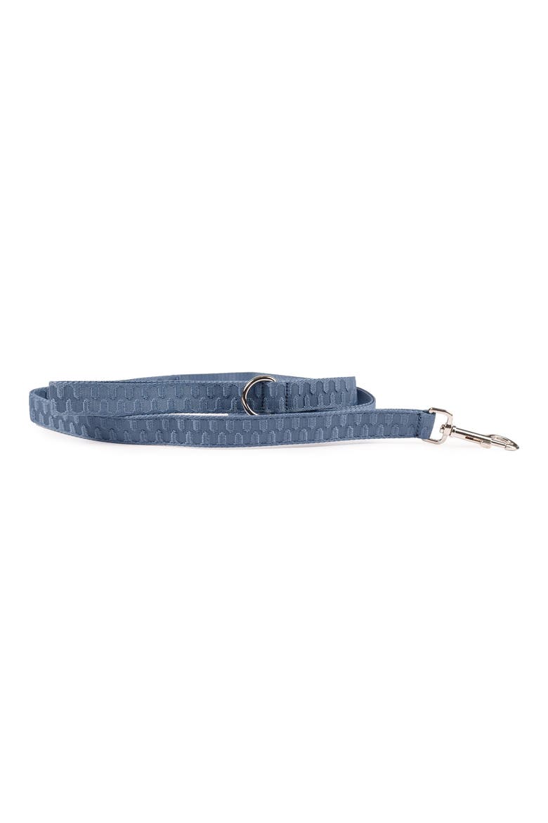 Checkered Wave Pet Leash, Main, color, WAVY BLUE
