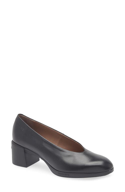 Wonders Almond Toe Pump In Black