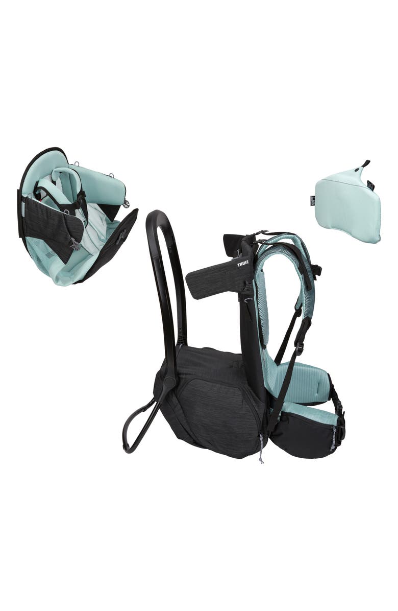 Thule Sapling Child Carrier, Alternate, color, Black