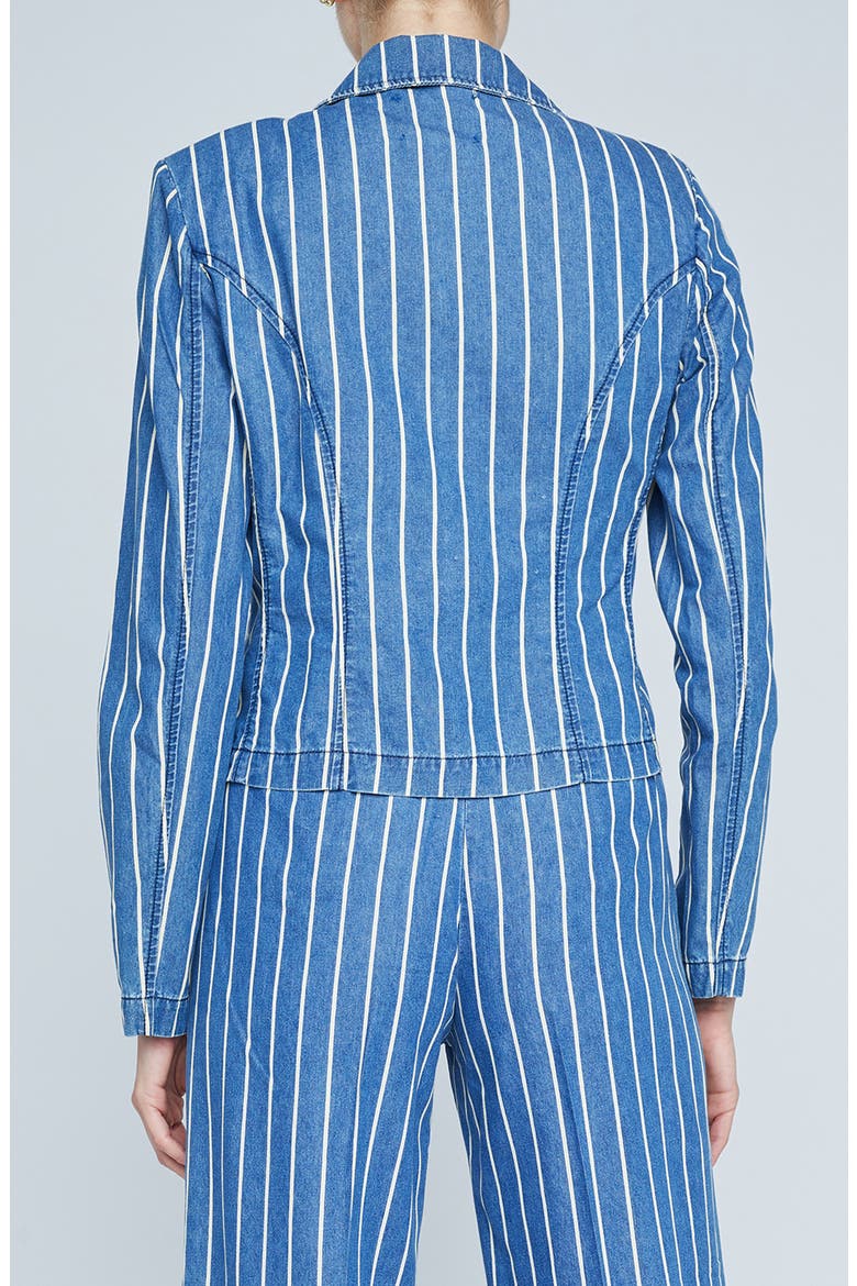 Wayne Stripe Double Breasted Crop Denim Jacket, Alternate, color, DENIM STRIPE