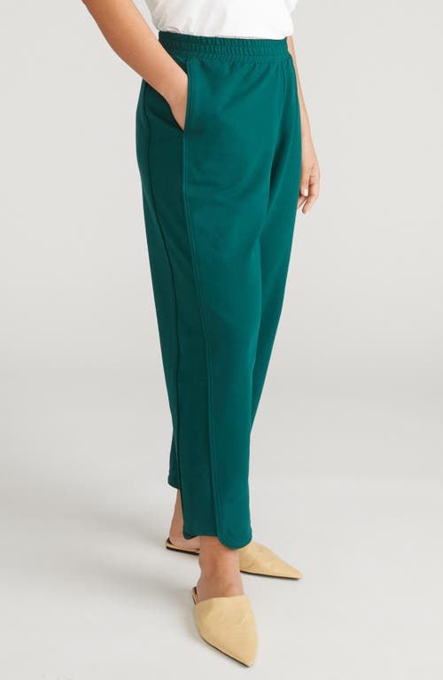 Universal Standard Varsity Pull-on Wide Leg Terry Pants In Green